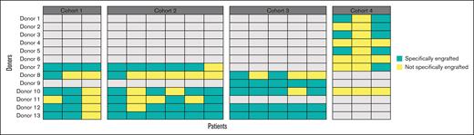Number of donors determined to have specifically contributed to the engraftment of MaaT033 species in patients’ gut (n = 17). For cohorts 1 and 2, MaaT033 batch comprised fecal material from 6 individual donors. For cohort 3, MaaT033 batch comprised fecal material from 5 individual donors. For cohort 4, MaaT033 batch comprised fecal material from 8 individual donors. The definition of specific engraftment (in green) is linked with the detection of donor-specific bacterial species and does not include the bacteria, which may be shared by at least 2 donors (ie, not specifically engrafted, in yellow).