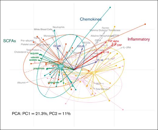 PCA performed with the host parameters data set (n = 21). Individual samples are represented by points colored and linked according to the corresponding visit. The arrows depict the variables, here the host parameters. The longer they are, the more they drive the samples’ projections; the closer they are, the more they vary together. Specific parameter groups are highlighted in color (SCFAs, chemokines, and inflammatory parameters). For a better visualization, variables with negligible impact on sample projections (with small arrows) were removed from the figure after computation. CRP, C-reactive protein; IL, interleukin; IP, Interferon gamma-induced protein 10; MCP-1, monocyte chemoattractant protein 1; PC1, principal component 1; PCA, principal component analysis; TNF, tumor necrosis factor.