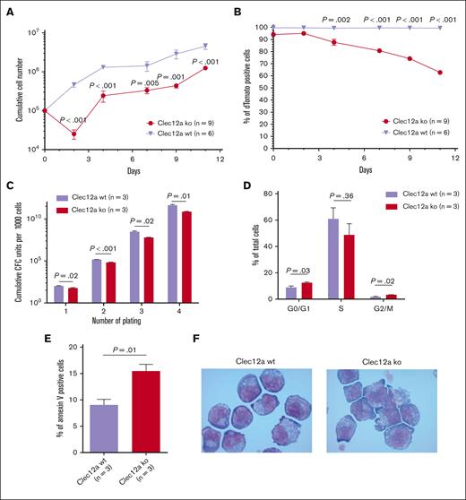 Clec12a KO NUP98::NSD1+NRASG12D cells demonstrate less proliferation kinetics in vitro. (A) Proliferation of Clec12a WT and KO NUP98::NSD1+NRASG12D cells in 12 days (mean ± SEM). (B) Growth of dTomato+ sgRNA-transduced and -untransduced cells over time in the proliferation assay (mean ± SEM). (C) Cumulative CFC yield is revealed for an initial plating of 1000 Clec12a WT and KO NRASG12D+NUP98::NSD1 transduced cells (mean ± SEM). (D) Frequency of cell cycle phases in Clec12a WT and KO NUP98::NSD1+NRASG12D cells (mean ± SEM). Cells were gated on dTomato+ cells, which correspond to Clec12a KO cells. (E) Proportion of apoptosis in Clec12a WT and KO NUP98::NSD1+NRASG12D cells (mean ± SEM). (F) Representative Wright-Giemsa–stained cytospin preparations of Clec12a WT and KO NUP98::NSD1+NRASG12D-transduced mouse BM cells (1000×). CFC, colony-forming cell; KO, knockout.