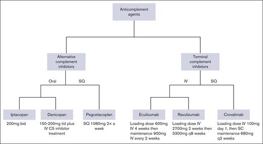 Overview of anticomplement therapies for PNH based on route of administration.4,7,11,17,25,29 bid, twice daily; q, every; SQ, SC infusion pump; tid, 3 times per day.