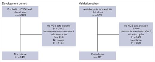Consort diagram of patients included in this study.