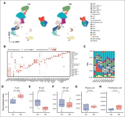 Overall clustering and description of scRNA-seq results of PBMCs from patients with hemophilia with inhibitors. (A) In total, 19 subsets were clustered and visualized through uniform manifold approximation and projection (UMAP). (B) The dot plot showed the expression levels of the markers for the annotation of the 19 subsets. (C) The cell ratios of each subset in each sample. The legend in panel A also applies to panel C. (D-H) Student t test was used to assess the difference of main lymphocyte clusters’ ratios in the total lymphocytes between the HA and HB groups, including T cells (D), B cells (E), NK cells (F), plasma cells (G), and proliferative cells (H). DNT, double-negative T; mDCs, myeloid DCs.