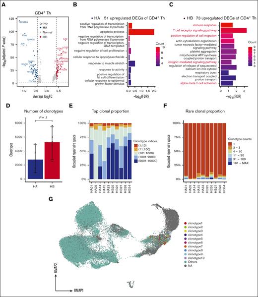 Differential functional status and repertoire diversity of T cells between the 2 groups. (A) The DEGs were visualized by the volcano plots. (B-C) The bar plots showed the GO_BP pathways enriched by the DEGs of CD4+ Th cells in the HA (B) and HB (C) groups. (D) Numbers of unique T-cell clonotypes in the HA and HB groups. (E) Top clonal proportions of T-cell clonotypes with specific indices of each sample. (F) Rare clonal proportions of T-cell clonotypes with specific counts of each sample. (G) The projection of top 10 clonotypes and others in all 10 samples on the UMAP of T and NK cells.