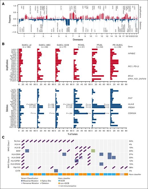 Somatic copy number aberrations in prDLBCL compared with other subtypes of DLBCL including IP-LBCL. (A) Genome-wide frequency of somatic copy number amplifications (red) and deletions (blue) across all chromosomes in prDLBCL. Key regions with recurrent alterations are annotated, including PRDM1, CDKN2A, HLA-B, and NFKBIZ, highlighting their potential involvement in lymphomagenesis and immune evasion. The x-axis represents chromosomal locations, whereas the y-axis indicates the frequency of alterations across the cohort. (B) Amplifications and deletions at recurrently affected loci in an all-comer cohort of DLBCL (first column), DLBCL of ABC and GCB subtypes (second and third column), and IP-LBCL with primary CNS or primary testicular manifestation (columns 4 and 5) compared to prDLBCL (column 6). (C) Impairment of the MHC class I and II apparatus as well as its immediate interaction partners by mutations and/or SCNAs. PTLBL, primary testicular large B-cell lymphoma; SCNA, somatic copy number aberration.