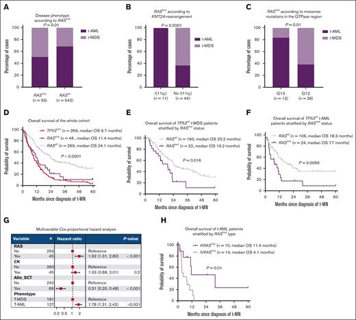 RASmut is enriched in t-AML and is associated with poor prognosis. (A) t-AML was more prevalent in RASmut than RASwt t-MN. (B) t-AML was especially more prevalent in the presence of KMT2A-r. (C) Substitutions at amino acid position 13 (G13D/C) were highly enriched in t-AML. In contrast, mutations at position 12 (G12D/V/C) were more frequently associated with t-MDS. (D) RASmut was associated with survival comparable to TP53-mutated t-MN, (E) t-MDS, and (F) t-AML. (G) Multivariable Cox proportional hazard analysis demonstrated that RASmut was associated with poor survival independent of allo-SCT, t-MN phenotype, and CKs. (H) NRASmut was associated with significantly poorer OS than KRASmut t-AML. Allo-SCT, allogeneic stem cell transplant; OS, overall survival.