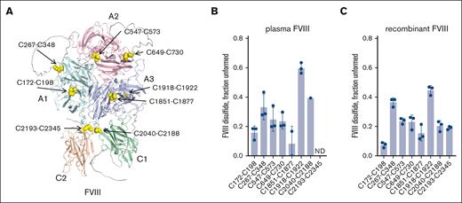 FVIII is constitutively produced as multiple partially disulfide-bonded states. (A) Ribbon representation of the AlphaFold structure of human VIII lacking the unstructured B domain that does not contain disulfide bonds. The domains (A1, A2, A3, C1, and C2) are color coded, and the 8 disulfide bonds are shown as yellow spheres and residue numbers indicated (UniProt P00451 numbering). (B) Incidence of unformed disulfide bonds in human plasma FVIII (n = 3 preparations of cryoprecipitated plasma, Factane) and (C) recombinant FVIII (n = 3 FVIII preparations). For example, the A3 domain C1918-C1922 bond is unformed in ∼70% (plasma) or ∼50% (recombinant) of molecules of the FVIII samples. The C2193-C2345 disulfide cysteines were not able to be resolved in the plasma sample. The bars and errors are mean ± standard deviation (SD).