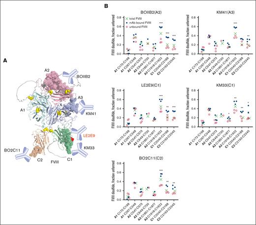 Patient anti-FVIII drug antibodies bind preferentially to a subset of FVIII disulfide-bonded states. (A) Ribbon representation of the AlphaFold structure of human FVIII lacking the unstructured B domain. The domains to which a panel of 5 patient-derived anti-FVIII drug antibodies bind (BOIIB2, KM41, LE2E9, KM33, and BO2C11) are shown. The residues that encompass the epitopes for the antibodies are shown as dots (see Table 1 for residue numbers) and the disulfide bond cysteines as yellow spheres. (B) Incidence of unformed disulfide bonds in the bound vs unbound FVIII (n = 3 experiments). The mean values for the starting (total) FVIII are shown as green crosses. Errors are mean ± SD. The patient anti-FVIII antibodies bound preferentially to FVIII covalent states in which 3 of the 8 disulfides are significantly more unformed (∗P < .05; ∗∗P < .01; ∗∗∗P < .001).