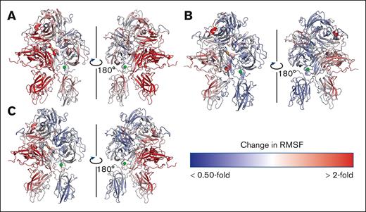 Ablation of disulfide bonds in FVIII causes changes in RMSF of backbone residues. Fold change in backbone RMSF for unformed C1918-C1922 (A), unformed C2040-C2188 (B), and unformed C2193-C2345 (C) disulfide bonds in FVIII (AlphaFold identifier: AF-P00451-F1).