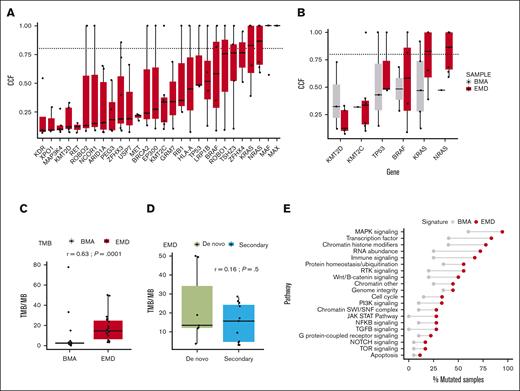 Comparison of mutational profiles between EMD and BMA samples. (A) Cancer cell fraction (CCF) analysis of commonly mutated genes in EMD samples reveals that mutations in NRAS, KRAS, and BRAF exhibit clonal patterns in ∼50% of cases. (B) The CCF of select genes mutated in EMD and BMAs are demonstrated. In BMAs, mutations in NRAS, KRAS, and BRAF are less likely to be clonal compared to their counterparts in EMD samples. (C) TMB is significantly elevated in EMD samples compared to BMA samples collected at the same time point as EMD development (r = 0.63; P = .0001). (D) No significant difference in TMB is observed between de novo (previously untreated) and secondary (posttreatment) EMD samples (r = 0.16; P = .5). (E) Among mutational pathways, alterations in the MAPK pathway are the most frequent, occurring in 94% of EMD samples vs 60% in BMAs (P = .02). Other frequently affected pathways in EMD include transcriptional machinery (83%), chromatin histone modifiers (78%), RNA abundance (72%), and immune signaling (66%).