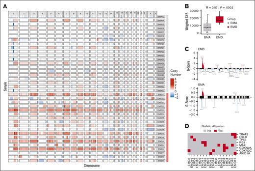 Copy number abnormalities in EMD and BMA samples, including significant CNAs and biallelic deletions specific to EMD. (A) Copy number abnormalities were more prevalent in EMD samples compared to BMAs. (B) Weighted CNB analysis revealed a significantly higher CNB in EMD samples than in BMA samples, reflecting the increased prevalence of genomic alterations. (C) Among EMD samples, significant gain/amplifications (red) were observed in the 1q region, whereas notable deletions/loss (blue) occurred in the 17p13 and 1p36 regions, among others. BMAs also demonstrated a significant peak in the 1q region, but the amplitude and frequency were notably lower than in EMD. (D) Select genes with biallelic alterations (mutation in 1 allele with loss of the other allele or biallelic loss) are shown. MAX was the most commonly affected putative tumor suppressor gene.