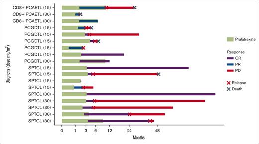 Patient response to pralatrexate treatment.