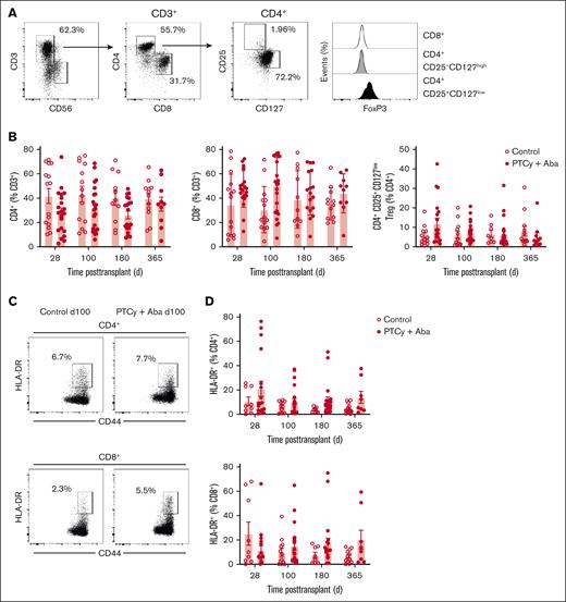 Peripheral blood T-cell analysis. T cells in the peripheral blood were analyzed by flow cytometry at days 28, 100, 180, and 365 after transplant. (A) Representative gating strategy. (B) Comparison of CD4+, CD8+, and CD4+CD25+CD127low Tregs in SOC and PTCy+Aba treatment groups across time points. (C) T-cell activation was assessed by measuring HLA-DR upregulation. Representative examples shown for 1 patient each in the SOC and PTCy+Aba groups at day 100 after transplant. (D) Comparison of T-cell activation as indicated by HLA-DR expression in SOC and PTCy+Aba treatment groups across time points.