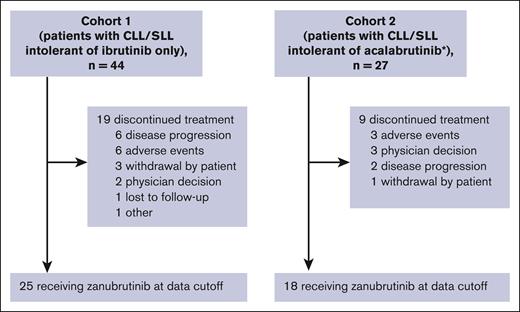 Patient disposition. ∗Includes patients intolerant of ibrutinib and acalabrutinib. CLL, chronic lymphocytic leukemia; SLL, small lymphocytic lymphoma.
