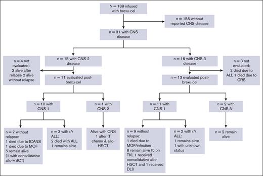 Flow diagram for the treatment and responses of patients with CNS B-ALL in our retrospective analysis. DLI, donor lymphocyte infusion; MOF, multiorgan failure.