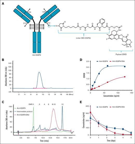 The characterization of anti–IGSF9-DXd. (A) The basic structure of anti–IGSF9-DXd. (B) The purity of anti–IGSF9-DXd is assessed by size exclusion chromatography, and (C) the DAR values are determined by hydrophobic interaction chromatography. (D,E) The binding activities and serum half-life of anti-IGSF9 and anti–IGSF9-DXd are determined.