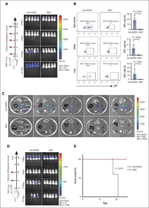 Anti–IGSF9-DXd treats the early and mid-stage AML models. About 1 × 106 MV4-11-luc cells are injected into NSG mice (n = 10). Treatment with anti-IGSF9 as a control and anti–IGSF9-DXd is initiated the following day and administered every 5 days thereafter. (A) Disease progression is monitored by bioluminescence imaging. (B) The GFP+ cell percentages in bone marrow, spleen and lungs are detected by flow cytometry, and (C) the tumors in all organs are shown by bioluminescence imaging. About 1 × 106 THP-1-luc cells are injected into NSG mice (n = 10), (D) and anti-IGSF9 or anti–IGSF9-DXd are administered on days 7 and 14, and (E) the survival curves are drawn.