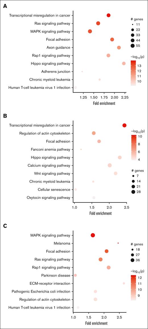 Pathway enrichment analysis of differentially methylated genes. Results from the pathway enrichment analysis performed on the total data set of DMRs identified in MM samples compared to healthy control gDNA (A); and the DMRs with a cross-sample mean methylation value that indicates hypermethylation (B) and hypomethylation (C). The bubble plots depict the top 10 significantly enriched KEGG terms for each of the analyzed data sets. Diameter and color intensity of the circles are relative to the number of involved genes and the significance of the obtained enrichment score, respectively.