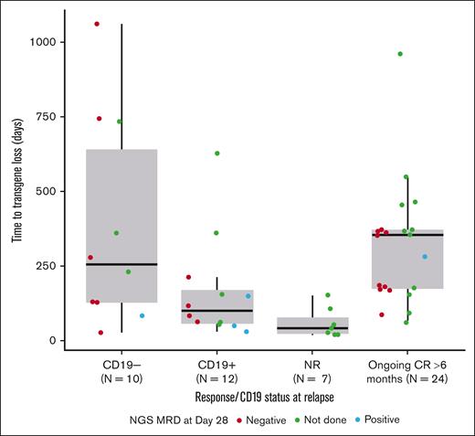 CD19+ MRD and transgene persistence in patients with B-ALL. Time to loss of transgene for an ongoing response >6 months or CD19 status color coded by day 28 NGS MRD status. Horizontal bars represent median values, and circles represent values outside of 1.5 × interquartile range. Lower and upper whiskers extend to the most extreme points within 1.5 × interquartile range of quartile 1 and quartile 3, respectively. Tloss was determined as the first available time point after Cmax when transgene levels dropped <50 copies per μg of DNA.