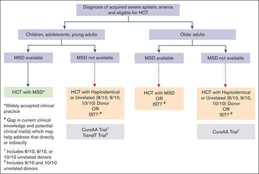 Current treatment paradigm in patients diagnosed with SAA: standard of care and gaps in knowledge. MSD, matched sibling donor.