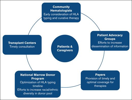 Stakeholder awareness and engagement to improve dissemination and implementation of trials assessing the role of up-front alternative donor HCT in patients with SAA.