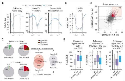 PROSER1 loss leads to aberrant DNA methylation in hematopoietic progenitors. (A) Quantitation trend plots of DNA methylation quantified by enzymatic methyl sequencing (EM-seq) in gene bodies, non-CGI promoters, and heterochromatin for CpG sites covered by minimum 10 EM-seq reads in all samples in WT, PROSER1 KO, and TET2 KO HOXB8-FL cells. (B) Same as in panel A but showing DNA hypermethylation in CGIs in PROSER1-deficient HOXB8-FL cells. (C) Pie charts showing fraction of hypermethylated (>10% average increase) or hypomethylated (>10% average decrease) CGIs and active enhancers as well as the overlap of active enhancers with altered DNA methylation in PROSER1 KO and TET2 KO HOXB8-FL cells. ∗∗∗∗P < .0001 (2-tailed Fisher exact test). (D) XY scatterplot showing correlation between DNA methylation changes at active enhancers in TET2 (horizontal x-axis) and PROSER1 (vertical y-axis) KO HOXB8-FL cells. Each dot represents average methylation difference of all CpG sites (>10 reads) within a specific enhancer. (E) Box plots showing average enhancer DNA methylation in wild-type, PROSER1 KO, and TET2 KO HOXB8-FL cells at enhancers with >10% hypermethylation in both genotypes (left), PROSER1 KO only (middle), or TET2 KO only (right) cells. Error bars represent the ±min/max, and the line is the median. The effect sizes of DNA methylation change compared to wild-type was measured with Cohen d. ∗d > 0.3 (small effect); ∗∗d > 0.6 (medium effect); ∗∗∗d > 0.9 (large effect). max, maximum; min, minimum; ns, nonsignificant; RR, relative risk; WT, wild-type; UCSC, University of California Santa Cruz.