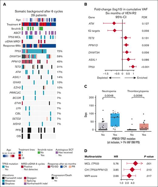 Somatic background of CH in the cfDNA is induced during therapy, and TP53-related CH is associated with hematologic adverse events and outcome. (A) Oncoprint of mutations detected in plasma cfDNA after 6 cycles of therapy. All variants supported by at least 1 duplex read. (B) Forest plot showing t test results for enrichment of VAF in different genes between BL and after 6 cycles of therapy in the cfDNA. The x-axis shows log10-transformed VAF enrichment (diamond) and its 95% confidence interval. Ambiguous variants supported by at least 1 duplex read included in the analysis. Most significant genes with nonsilent alterations and immunoglobulin segments are shown. (C) Box and dot plots showing the cumulative duration of grade 3-4 neutropenia and thrombocytopenia during follow-up in days (y-axis) according to PPM1D/TP53 mutation status in the PB/BM samples at BL. Patients with at least 180 days free from progression included. Nonreporter variants detected in BM/PB or cfDNA with VAF of >1% in PB/BM considered. (D) Forest plot of Cox proportional hazards model covariables, HRs, 95% CIs, and P values for multivariable model for OS with TP53 mutation status, PPM1D/TP53 CH status, and MIPI. FDR, false discovery rate; PD, progressive disease.