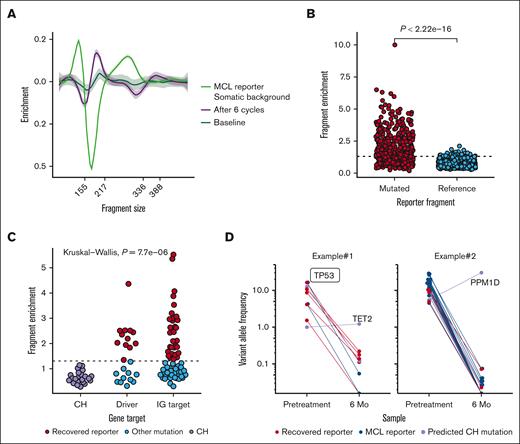 MCL ctDNA signature allows discrimination from CH variants and recovery of additional reporters to support MRDctDNA decisions. (A) Line graph showing smoothened enrichment of mutant fragments (y-axis) according to fragment length (x-axis) and variant class or sample material (color). Note the similarity between somatic background mutations after 6 cycles and pretreatment. (B) Dot plot according to mutant and reference fragments for subnucleosomal enrichment (y-axis) of MCL reporter mutations in the pretreatment cfDNA. Each dot represents an individual reporter mutation; variants with >20 fragments for classification are included. Mann-Whitney U test P value for comparison shown. (C) Dot plot showing subnucleosomal enrichment (y-axis) for ambiguous variants detected in the pretreatment ctDNA according to gene target (x-axis). Each variant is represented by a dot; mutations with >20 fragments are shown. Variants in canonical CH genes that were detected in matched PB and/or BM sequences under CH. Other driver gene mutations and immunoglobulin mutations are shown separately. (D) Dot and line graphs showing the VAF (y-axis, logarithmic scale) of cfDNA variants at pretreatment and after 6 cycles of therapy according to their reporter and fragment pattern predicted status (color). Lines connect same variants in different time points. TP53 mutation not identified in the genotyping tumor tissue of example 1 annotated.
