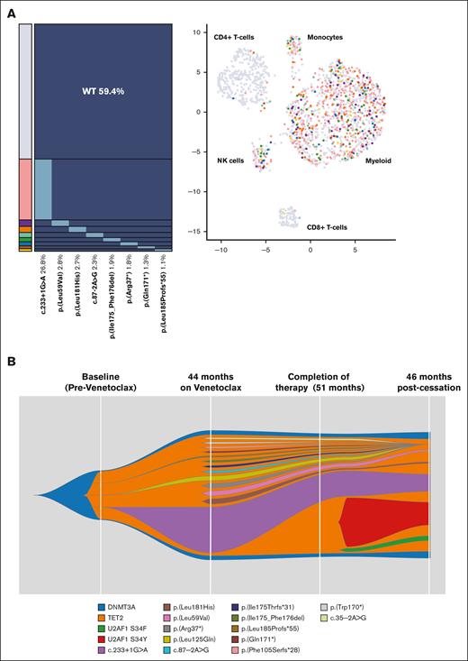 Mutation profiling on a patient (mBEP_01-013) with breast cancer. (A) Single-cell analysis using a combined DNA and protein Tapestri panel on a peripheral blood sample after venetoclax therapy for 44 months. Eight BAX variants were detected on the Tapestri panel (1725 cells) in multiple independent heterozygous clones with myeloid-biased lineage distribution. (B) Fish plot representing the inferred clonal dynamic changes from bulk sequencing data (targeted NGS panel) from multiple time points: baseline before venetoclax; 44 and 51 months on venetoclax therapy; and 46 months after cessation of venetoclax. BAX-specific deep sequencing (duplex-UMI panel) on the baseline sample revealed 3 mutations: c.233+1G>A (VAF, 0.013%), Leu125Gln (VAF, 0.04%), and Leu185Profs∗55 (VAF, 0.009%). UMI, unique molecular identifier.