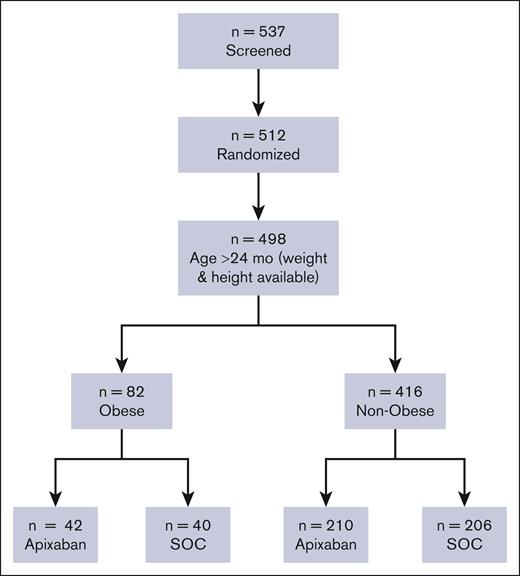 CONSORT diagram. Summary randomization.