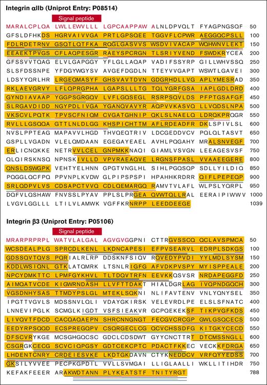 Peptide coverage of the human αIIbβ3 by mass spectrometry. Full sequence of integrin αIIb (top) and β3 (bottom) were obtained from the UniProt database. The signal peptides were colored in red, and the mature proteins were colored in black. Each underline indicates a peptide of integrin αIIb (top) or β3 (bottom) identified from the mass spectrometry study. Peptide coverage of integrin αIIb (top) and β3 (bottom) was highlighted in yellow.