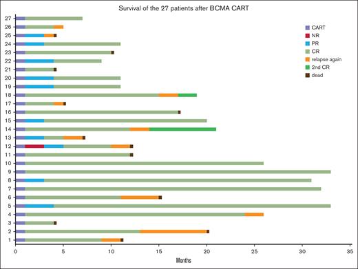 The long-term follow-up data for the 27 patients with R/R MM treated with S103 BCMA CAR T-cell therapy.