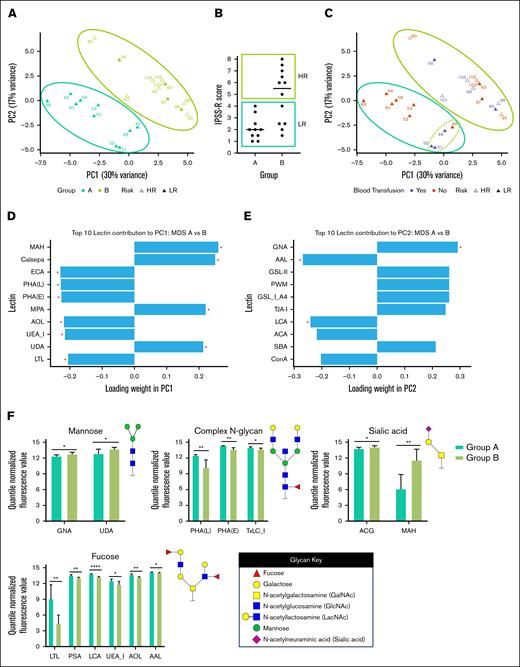Specific lectin signatures drive subgrouping of MDS platelets. (A) Principal component analysis (PCA) plot displaying clustering of platelets collected from patients with MDS based on their glycan profiles. Samples were grouped into Group A (teal) and Group B (green). Patients’ disease statuses are defined as intermediate/low/very low risk (“LR,” closed triangle) or high/very-high risk (“HR,” open triangle) based on Revised International Prognostic Scoring System (IPSS-R) score. (B) Distribution of IPSS-R scores for patients in Group A and Group B. (C) PCA plot displaying clustering of platelets collected from patients with MDS based on transfusions received within 4 weeks of sample collection. Patient 49 received a bone marrow transplant. (D-E) Graphs showing statistically significant (indicated by ∗) drivers of variance for each principal component, PC1 (D) and PC2 (E), among glycan profiles from MDS platelets. (F) Bar plots showing statistically significant changes in lectin binding between platelets collected from healthy individuals vs those with MDS. Binding of specific lectins is quantified based on their quantile normalized fluorescence values. Lectins are organized based on their selectivity for carbohydrate epitopes with example glycan substrates shown. ∗P < .05; ∗∗P < .01; ∗∗∗P < .001; and ∗∗∗∗P < .0001.