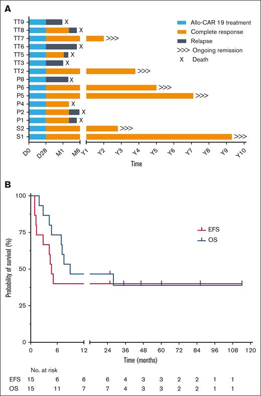 Survival outcomes. (A) Outcomes for all children treated at Great Ormond Street Hospital with genome-edited allo-CAR19 T cells. Periods of allo-CAR19 intervention (blue), complete remission (orange), or relapse (gray) are illustrated after 2 to 10 years of follow-up. (B) EFS and OS with 40% of subjects in long-term remission above 2 years. EFS, event-free survival; OS, overall survival; P, trial UCART19 (P); S, specials license UCAR19; TT, trial TT52CAR19.