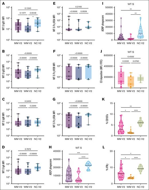 Functional profiling of SARS-CoV-2 WT spike antibody responses. (A-G) Box plots of IgG1, IgG3, IgM, IgA, FcR2A, FcR2B, FcR3A, or FcR3B titers in log10 MFI. Lines represent the minimum, lower quartile, median, upper quartile, and maximum. Statistical significance between groups was tested with a nonparametric Kruskal-Wallis multiple comparisons test. P values are as indicated. (H) Truncated violin plot of phagoscores from ADCP assay. The dashed lines represent quartiles, with a solid black line for median. Statistical significance between groups was tested with a nonparametric Kruskal-Wallis multiple comparisons test. P values are indicated as follows: not significant (ns), P = .1234; ∗P = .0332; ∗∗P = .0021; ∗∗∗P = .0002; ∗∗∗∗P < .0001. (I) Truncated violin plot of phagoscores from the ADNP assay. The dashed lines represent quartiles, with a solid black line denoting the median. Statistical significance between groups was tested with a nonparametric Kruskal-Wallis multiple comparisons test. P values are indicated as follows: ns, P = .1234; ∗P = .0332; ∗∗P = .0021; ∗∗∗P = .0002; ∗∗∗∗P < .0001. (J) Box plot of antibody-dependent complement deposition, shown as the MFI of FITC+ beads. Lines represent the minimum, lower quartile, median, upper quartile, and maximum. Statistical significance between groups was tested with a nonparametric Kruskal-Wallis multiple comparisons test. P values are as indicated. (K-L) Truncated violin plots of antibody-dependent NK-cell activation: percentage of CD107a+ NK cells or percentage of IFN-γ+ NK cells. Dashed lines represent quartiles, with a solid black line denoting the median. Statistical significance between groups was tested with a nonparametric Kruskal-Wallis multiple comparisons test. P values are indicated as follows: ns, P = .1234; ∗P = .0332; ∗∗P = .0021; ∗∗∗P = .0002; ∗∗∗∗P < .0001. FITC, fluorescein isothiocyanate; IFN-γ, interferon gamma; MFI, median fluorescence intensity.