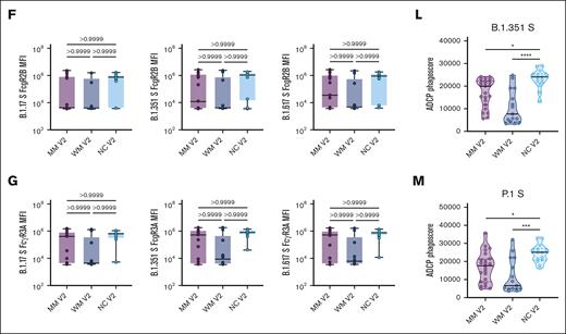 Functional profiling of SARS-CoV-2 variants of concern spike antibody responses. (A-G) Box plots of B.1.17 S–, B.1.351 S–, and B.1.617 S–specific IgG1, IgG3, IgM, IgA, FcR2A, FcR2B, FcR3A, or FcR3B titers in log10 MFI. Lines represent the minimum, lower quartile, median, upper quartile, and maximum. Statistical significance between groups was tested with a nonparametric Kruskal-Wallis multiple comparisons test. P values are as indicated. (H-J) Truncated violin plots of B.1.17 S–, B.1.351 S–, and P.1 S–directed ADNP. The dashed lines represent quartiles, with a solid black line denoting the median. Statistical significance between groups was tested with a nonparametric Kruskal-Wallis multiple comparisons test. P values are indicated as follows: ns, P = .1234; ∗P = .0332; ∗∗P = .0021; ∗∗∗P = .0002; ∗∗∗∗P < .0001. (K-M) Truncated violin plots of B.1.17 S–, B.1.351 S–, and P.1 S–directed ADCP. The dashed lines represent quartiles, with a solid black line denoting the median. Statistical significance between groups was tested with a nonparametric Kruskal-Wallis multiple comparisons test. P values are indicated as follows: ns, P = .1234; ∗P = .0332; ∗∗P = .0021; ∗∗∗P = .0002; ∗∗∗∗P < .0001.