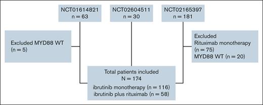 CONSORT diagram. WT, wild-type.