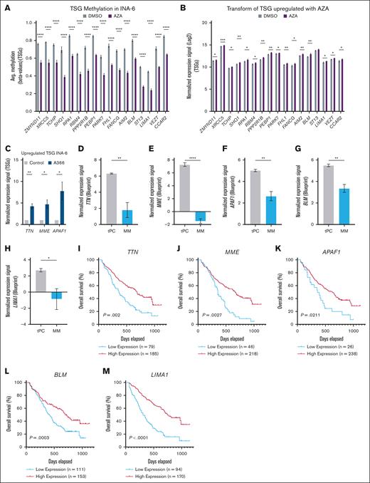 Inhibition of G9a or DNMTs promotes upregulation of TSGs in MM cells. (A) Average DNA methylation levels of TSGs from AZA-treated INA-6 MM cells (n = 3). Statistical analysis was performed with multiple t tests, corrected for multiple comparisons with the Holm-Šídák method. (B) RNA-seq data of TSGs gaining expression in AZA-treated INA-6 MM cells (n = 3). Statistical analysis was performed with multiple t tests. Values presented with SEM. (C) Upregulation of the TSGs MME, APAF1, and TTN in response to G9ai in MM cells (n = 2-3). Statistical analysis was performed with multiple t tests. Values presented with SEM. (D-H) Normalized expression of G9a/DNMT-associated TSGs in patients with MM compared to tPCs from the BPC data set (nMM = 3; ntPC = 3). Statistical analysis was performed with Student t test. Values are presented with SEM. (I-M) Normalized (MAS5) TTN, MME, APAF1, BLM, and LIMA1 expression-based survival data from BM-collected CD138+ from patients with MM (GSE9782). The analysis was performed on GenomicScape using log-rank test. ∗P < .05; ∗∗P < .01; ∗∗∗P < .001; ∗∗∗∗P < .0001. DMSO, dimethyl sulfoxide.