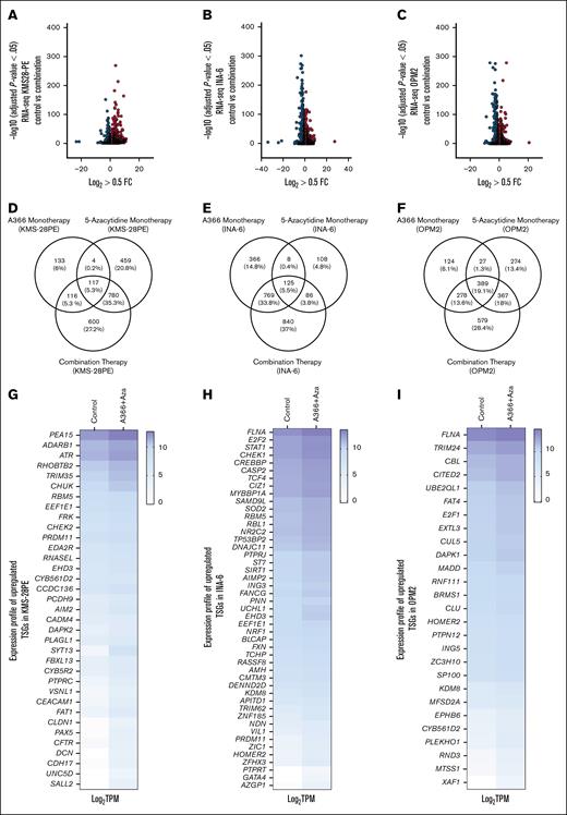 Dual inhibition of G9a and DNMTs promotes expression of TSGs in MM cells. (A-C) RNA-seq data of significantly (adjusted P < .05; log2 0.5-fold) downregulated and upregulated genes as a result of dual G9a and DNMTs inhibition in the MM cell lines KMS-28, INA-6, and OPM2. Statistical test: Wald test with Benjamini-Hochberg procedure to control the FDR. (D-F) Venn diagram showing genes that gain expression in samples treated with the combination therapy. (G-I) Significantly upregulated (adjusted P < .05; log2 0.5-fold) TSGs in samples treated with the combination therapy. FC, fold change; TPM, transcript per million.