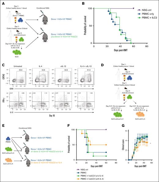 IL-4 does not affect ILC2 expansion rate, but decreases the percentage of IFN-γ–producing ILC2 cells and improves GVHD outcome. Cultured ILC2 cells were used in a xenograft GVHD model. Sublethally irradiated NSG mice received human PBMCs, with 1 group receiving donor unmatched cultured ILC2. (A) Diagram depicting PBMC isolation from donor 1, and isolation and expansion of ILC2 from donor 2, and the xenograft transplant model. (B) Kaplan-Meier plot of NSG recipient survival following transplant, 2 combined representative experiments using different donors is shown (n = 6 per experiment PBMC group and n = 4 per experiment ILC2 treated), log rank (Mantel-Cox) test. (C) Enriched human ILC2 cells were cultured in α-MEM media as described earlier with or without the addition of 50 ng/mL IL-4 and anti-IL-12 antibody for 10 days. Representative contour plots of day 10 ILC2 cultures showing IL-13 and IFN-γ expression. (D) Diagram depicting PBMC isolation from donor 1, and enrichment of human type 2 innate lymphoid cell (HuILC2) from donor 2, and expansion with or without IL-4. (E) Diagram depicting xenotransplant using the cells described in panel D. (F) Kaplan-Meier plot of NSG recipient survival following transplant, representative experiment using different donors and IL-4 treated or untreated ILC2 is shown (n = 4 per experiment), log rank (Mantel-Cox) test. (G) Clinical score of recipients from panel D, analyzed by 2-way analysis of variance, with Bonferroni correction for repeated measures of multiple comparisons between groups, ∗P < .05. BMT, bone marrow transplantation; ctrl, control; w/o, without; w/, with.