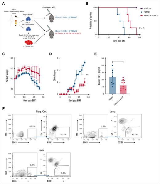 Cotransplant of donor-matched ILC2s reduces incidence of xeno-aGVHD following allo-HSCT. Sublethally irradiated NSG mice received human PBMCs, with 1 group receiving donor-matched cultured ILC2. (A) Diagram depicting isolation of PBMCs, and enrichment and expansion of HuILC2 from the same donor, and their use in a xenograft transplant model. (B) Kaplan-Meier plot of NSG recipient survival following transplant, 1 representative of 3 experiments using different donors is shown (n = 4 per experiment), log rank (Mantel-Cox) test. (C) Changes in weight and (D) clinical score of recipients from panel B, analyzed by 2-way analysis of variance, with Bonferroni correction for repeated measures of multiple comparisons, ∗∗∗P < .001. (E) Enzyme-linked immunosorbent assay quantification of human TNF in the serum of NSG recipients 28 days after transplant, represents 2 combined experiments, analyzed by 1-way analysis of variance with Tukey’s multiple comparison test, ∗P < .05. (F) To improve ILC2 survival, NSG mice were given IL-33 1 day prior to cell infusion. Flow cytometry plots of human ILC2 in the lung and liver of NSG mice 4 days after transplant, 1 example plot each, n = 6. BMT, bone marrow transplantation; ctrl, control; SSC, side scatter; w/, with.