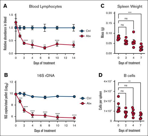 Antibiotic suppression of peripheral lymphocytes occurs rapidly with the depletion of the intestinal microbiota. (A) Peripheral blood lymphocyte counts were assessed on an automated hematologic cell counter in Ctrl- and Abx-treated WT mice over 14 days. (B) Fecal pellets revealed a decreased relative abundance of fecal microbes in Abx-treated WT mice over 14 days compared with Ctrl mice as determined by 16S rRNA gene qPCR. (C) Mass of spleens isolated from mice given Abx for the indicated number of days. (D) Flow cytometric determination of the absolute number of B220+ B cells from the spleens of mice from panel C. For panels A-B, 2-way mixed analysis of variance was used to test statistical significance between groups of interest; and for panels C-D, the Kruskal-Wallis test was used. Data are displayed as mean ± SEM from 2 independent experiments. ns, P > .05; ∗P ≤ .05; ∗∗P ≤ .01; ∗∗∗P ≤ .001; ∗∗∗∗P ≤ .0001. ns, not significant.