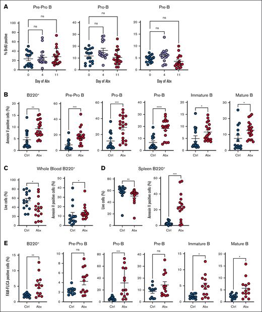 Antibiotics induce apoptosis but not cell cycle suppression in B-cell progenitor populations. (A) BrdU incorporation was determined for Ctrl- and Abx-treated mice in the early B-cell progenitors, and pre–pro-B, pro–B, and pre–B cells, in the BM. (B) Proportion of annexin V–positive BM B-cell progenitor cells was determined in Ctrl- and Abx-treated mice. (C) Proportion of live cells and annexin V–positive cells from B220+ B cells in the peripheral blood. (D) Proportion of live cells and annexin V–positive cells from B220+ B cells in the spleen. (E) Proportion of cells positive for the fluorescent reporter (FAM) in the FLICA assay as a measure of caspase activity for quantification of cell apoptosis. For panel A, the Kruskal-Wallis test was used to test statistical significance between groups of interest; and for panels B-E, the Mann-Whitney U test was used. Data are displayed as ± SEM from 2 independent experiments. ∗P ≤ .05; ∗∗P ≤ .01; ∗∗∗P ≤ .001; ∗∗∗∗P ≤ .0001.