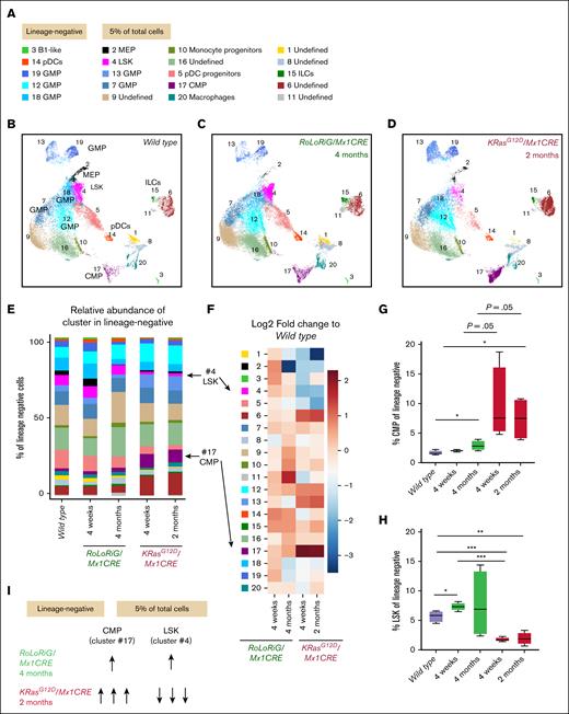 Distinct Ras pathway lesions drive opposing immature BM compartment features. (A) PhenoGraph analysis of Lin– cells reveal 20 cell clusters in BM. (B-D) PhenoGraph analysis of Lin– compartment for wild-type BM, RoLoRiG/Mx1CRE total BM, and KRASG12D/Mx1CRE total BM. UMAPs are compilations of 4 mice at the indicated time after pIpC injection. (E) Relative abundance of the 20 assigned, Lin– cell clusters in the BM. Note the frequencies of LSK cells (cluster 4) and CMP (cluster 17). (F) Color-coded visualization of log2 fold changes in cell cluster frequencies of the Lin– compartment in RoLoRiG/Mx1CRE and KRASG12D/Mx1CRE BM, compared with wild-type. (G-H) Frequencies of CMP and LSK stem cells as a percentage of Lin– BM cells. ∗P < .05; ∗∗P < .01; ∗∗∗P < .001. Other comparisons were not significant. (I) Summary of main points for analysis of Lin– compartment, with the numbers of arrows indicating the magnitude of the alteration. ILC, innate lymphoid cells; MEP, megakaryocyte-erythroid progenitor; pDC, plasmacytoid dendritic cell.