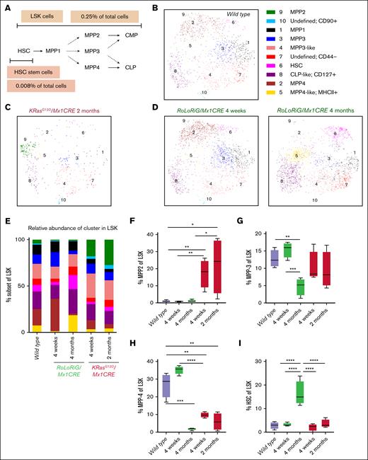 High-resolution analysis of HSC compartments of wild-type, RoLoRiG/Mx1CRE, and KRASG12D/Mx1CRE mice. (A) Schematic of HSC and MPP1 to MPP4 annotation,38 applied in this study. (B) PhenoGraph analysis of the wild-type LSK compartment reveals 10 clusters: HSC, MPP1 to MPP4, CLP-like, MPP3-like, MPP4-like, and 2 undefined populations. Compilation of 4 mice. (C) As in panel B, but for KRASG12D/Mx1CRE, 2 months after pIpC injection. (D) As in panel B, but for RoLoRiG/Mx1CRE mice. (E) Relative abundance of the 10 clusters in the LSK compartment. (F-I) Frequencies of MPP2, MPP3, MPP4, and HSC cells as a percentage of LSK BM cells for the indicated experimental groups. ∗P < .05; ∗∗P < .01; ∗∗∗P < .001; ∗∗∗∗P < .0001. Other comparisons were not significant. CLP, common lymphoid progenitor.
