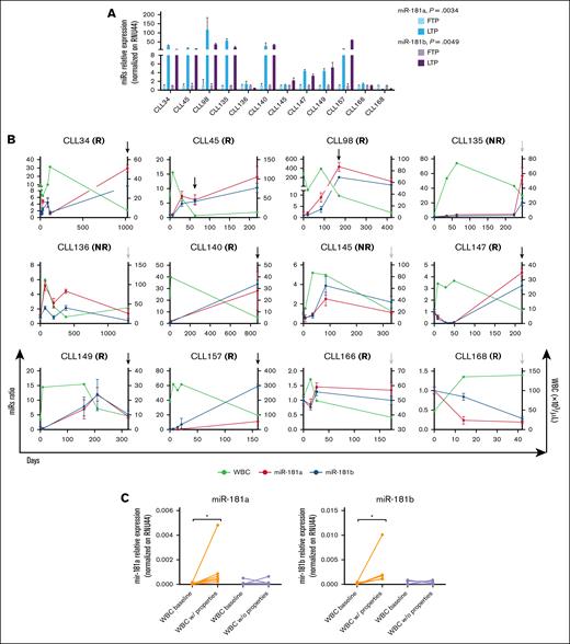 Ibrutinib affects miR-181a and miR-181b expression in vivo. (A) Evaluation by reverse transcription quantitative polymerase chain reaction (RT-qPCR) of miR-181a and miR-181b relative expression in purified primary CLL cells collected at the first time point (FTP) and at the last time point (LTP) of ibrutinib treatment follow-up. RNU44 was used as an internal control. The expression of miRNAs was normalized to the level of the basal time point at each time point. The Wilcoxon matched-pairs test was used for statistical significance. (B) Evaluation by RT-qPCR of miR-181a and miR-181b expression (left y-axis) in purified primary CLL cells collected during the follow-up of ibrutinib treatment (x-axis; days); RNU44 was used as an internal control. The expression of miRNAs was normalized to the level of the basal time point at each time point. WBC count at each time point was reported on the right y-axis. Black arrows indicate when the WBC count of patients decreased by >50% from baseline, or reached physiologic values at the last time point (WBC with properties). Conversely, gray arrows represent time points where the WBC count of patients decreased by <50% from baseline or remained unchanged (WBC without properties). (C) Graphs illustrate the corresponding expression levels of miR-181a and miR-181b in patients with CLL, as indicated. Wilcoxon matched-pairs test was used for statistical significance; ∗P<.05.