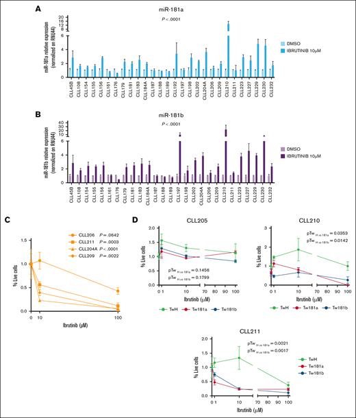 miR-181a and miR-181b expression increases after ibrutinib treatment in patients with CLL in vitro. The relative expression of miR-181a (A) and miR-181b (B) was evaluated by RT-qPCR in purified primary CLL cells treated for 72 hours with ibrutinib 10 μM, or DMSO as a control. RNU44 was used as an internal control. The relative expression of miRNAs for each patient was normalized to the DMSO-treated sample. miR-181a expression was assessed in 28 patients with CLL, with 21 analyzed in experimental duplicates and 7 (CLL45B, CLL176, CLL192, CLL197, CLL198, CLL210, and CLL211) analyzed in a single experiment. Similarly, miR-181b expression was evaluated in 27 patients with CLL, with 24 analyzed in duplicates and 3 (CLL161, CLL176, and CLL198) in a single experiment. The Wilcoxon matched-pairs test was used for statistical significance. (C) Cell viability of purified primary CLL cells was assessed after treatment with increasing doses of ibrutinib or DMSO (0, 10, and 100 μM) for 72 hours using the MTS (3-(4,5 dimethylthiazol-2-yl)-5-(3-carboxymethoxyphenyl-2-(4-sulfophenyl)-2H-tetrazolium)) assay. Statistical significance was determined by 1-way analysis of variance (ANOVA). (D) Cell viability of primary CLL cells transfected with either pTween_181b, pTween_181a, or pTween_CTRL vectors was evaluated after a 72-hour treatment with increasing concentrations of ibrutinib or DMSO (0, 10, and 100 μM). Cell viability was determined using the MTS assay. Statistical significance was assessed by 1-way ANOVA. DMSO, dimethyl sulfoxide.
