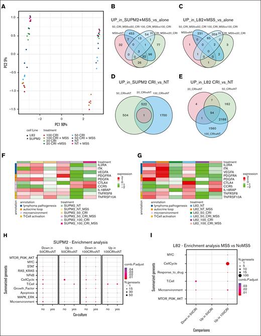 Transcriptional intrinsic and extrinsic persistence mechanisms to crizotinib in ALK+ ALCL cells. (A) PCA of SUPM2 and L82 cells cocultured with MS-5 or cultured alone and treated with crizotinib (nt-20-50-100 nM) for 72 hours. (B) Venn diagram of the upregulated genes in SUPM2 cells cocultured with MS-5 vs alone and treated with crizotinib (nt-20-50-100 nM) for 72 hours. (C) Venn diagram of the upregulated genes in L82 cells cocultured with MS-5 vs alone and treated with crizotinib (nt-20-50-100 nM) for 72 hours. (D) Venn diagram of the upregulated genes in SUPM2 cells treated with crizotinib (20-50-100 nM) for 72 hours vs NT. (E) Venn diagram of the upregulated genes in L82 cells treated with crizotinib (20-50-100 nM) for 72 hours vs NT. (F) Heat map revealing the expression of selected genes in SUPM2 cells cocultured with MS-5 or cultured alone and treated with crizotinib (nt-20-50-100 nM) for 72 hours. (G) Heat map revealing the expression of selected genes in L82 cells cocultured with MS-5 or cultured alone and treated with crizotinib (nt-20-50-100 nM) for 72 hours. (H) Dot plot reporting the upregulation and downregulation of selected pathways in SUPM2 cells treated with crizotinib (50-100 nM) for 72 hours vs NT, in the presence or absence of MS-5. The color of the dots indicates the P value adjusted, whereas their size relates to the number of enriched gene sets among the analyzed collections. (I) Dot plot reporting the upregulation and downregulation of selected pathways in L82 cells cocultured with MS-5 vs alone and treated with crizotinib (50-100 nM) for 72 hours. The color of the dots indicates the P value adjusted, whereas their size relates to the number of enriched gene sets among the analyzed collections.