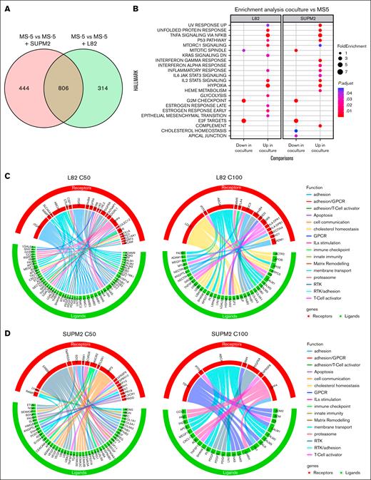 Stromal and ALK+ ALCL cell bidirectional crosstalk in the presence of crizotinib. (A) Venn diagram of the DEGs in MS-5 cells cultured alone vs MS-5 cocultured with SUPM2 or L82 cells for 72 hours. (B) Dot plot reporting the up- and downregulation of HALLMARKS in MS-5 cells cultured alone vs MS-5 cocultured with SUPM2 or L82 cells for 72 hours. The color of the dots indicates the P value adjusted, whereas their size relates to the fold enrichment. (C) Circos plot of the L-R interactions between MS-5 and L82 cells treated with 50 to 100 nM of crizotinib for 72 hours. Ligands are depicted in green, whereas receptors are in red. Interactions are colored differently based on their function. (D) Circos plot of the L-R interactions between MS-5 and SUPM2 cells treated with 50 to 100 nM of crizotinib for 72 hours. Ligands are depicted in green, whereas receptors are in red. Interactions are colored differently based on their function. GPCR, G protein-coupled receptor; RTK, receptor tyrosine kinase.
