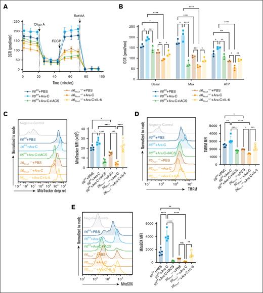 Deletion of Il6 in MSCs attenuates the OXPHOS status of residual AML cells after Ara-C treatment. (A) Measurement of mitochondrial respiration in AML cells sorted from AML mice using the Seahorse Bioscience XF Analyzer (n = 3). (B) Calculation of basal respiration, maximum respiration, and mitochondrial ATP production based on the measurements in panel A (n = 3). (C-E) FCM analysis of mitochondrial mass (C), membrane potential (D), and mtROS levels (E) in AML cells sorted from AML mice (n = 5). Data are presented as mean ± SD. Differences analyzed using ordinary 1-way ANOVA with Tukey multiple comparisons test (panels C-E) or 2-way ANOVA with Sidak multiple comparisons test (panel B). ∗P < .05; ∗∗P < .01; ∗∗∗P < .001; ∗∗∗∗P < .0001. ATP, adenosine triphosphate; Basal, basal respiration; IACS, IACS-010759 (OXPHOS inhibitor); Max, maximal respiration; MFI, mean fluorescence intensity; ns, not significant; OCR, oxygen consumption rate; TMRM, tetramethylrhodamine methyl ester.