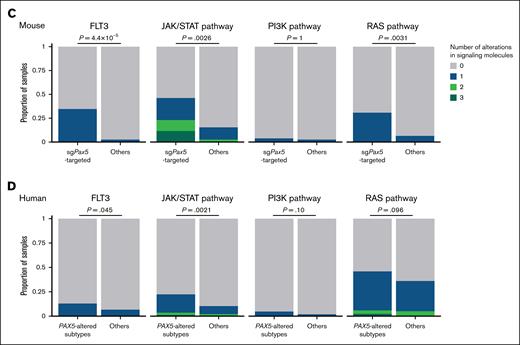 Associations between second-hit alterations and disease type in CRISPR screening. (A) Proportion of samples harboring second-hit alterations for each gene according to sgRNA-targeted genes and disease type. Significantly recurrent genes (q < 1 × 10−10) are colored and marked with asterisks. (B) Type and position of second-hit alterations in Jak3, Jak1, Sh2b3, Flt3, Ptpn11, and Kit in the entire cohort (n = 104). (C) Proportion of samples harboring second-hit alterations involving FLT3, JAK/STAT, PI3K, and RAS pathway molecules in murine sgPax5-targeted B-cell malignancies (n = 26) and others (n = 78). Fisher exact test. (D) Proportion of samples harboring somatic alterations (mutations and structural variations) involving FLT3, JAK/STAT, PI3K, and RAS pathway molecules in human PAX5-altered subtypes of B-ALL/LBL (n = 85) and others (n = 738). Fisher exact test. aa, amino acids; FLT3, FMS-like tyrosine kinase 3; PI3K, phosphatidylinositol-3 kinase.